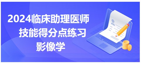 2024临床助理医师实践技能考试模拟图片鉴别-影像学