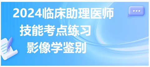 影像学鉴别-2024临床助理医师实践技能图片鉴别练习