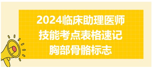 2024临床助理医师实践技能命题考点表格速记-胸部骨骼标志