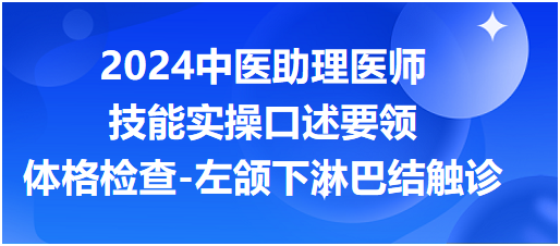 2024中医助理医师实践技能实操口述要领：体格检查-左颌下淋巴结触诊