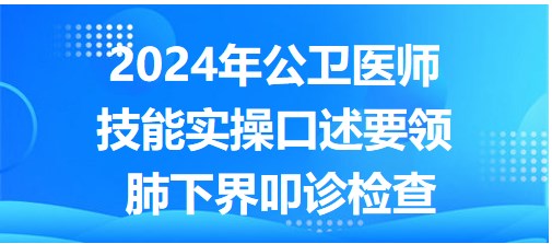 2024公卫医师实践技能实操口述要领-肺下界叩诊检查